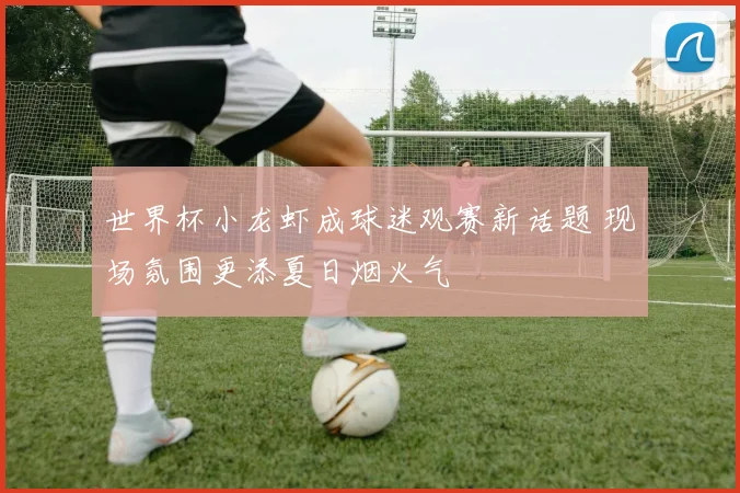 世界杯小龙虾成球迷观赛新话题 现场氛围更添夏日烟火气