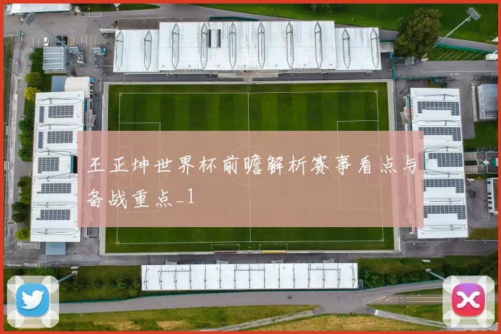 王正坤世界杯前瞻解析赛事看点与备战重点_1