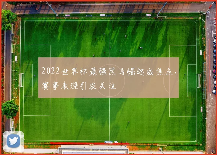 2022世界杯最强黑马崛起成焦点，赛事表现引发关注